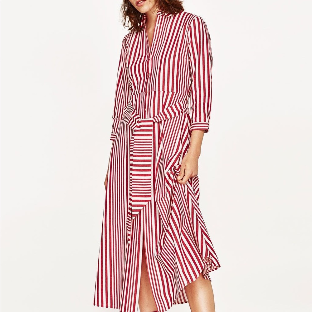 Zara Stripe Belted Dress